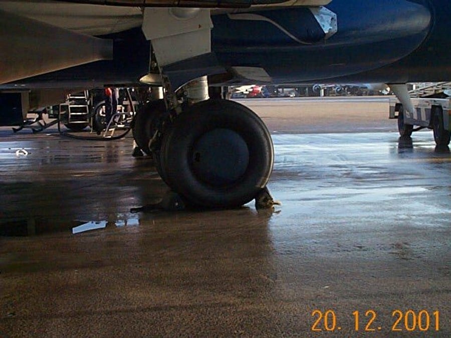 Landing gear standing on the completed surface